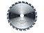 Flex Power Tools - Circular Saw Blade with Alternating Teeth 165 x 20mm x 24T