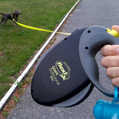 Flexi Giant Professional L Neon Dog Tape 10m DIY at B Q