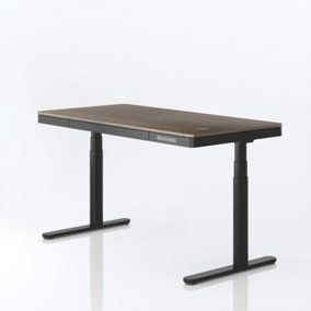 FlexiSpot 8-in-1 Standing Desk Black Frame+140 x 70cm bamboo desktop