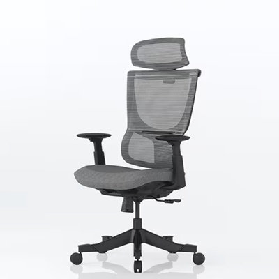 FlexiSpot 9-Stage Adjustable Back S-shaped Ergonomic Office Chair in Grey