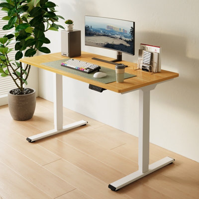 Flexispot 天板 120×60 Amazon.co.jp: FLEXISPOT 天板 120 昇降式デスク 学習机 DIY