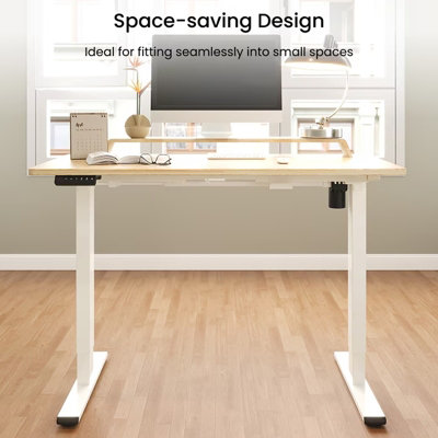 Flexispot Electric Height Adjustable Stand Desk, Memory Preset & Anti ...