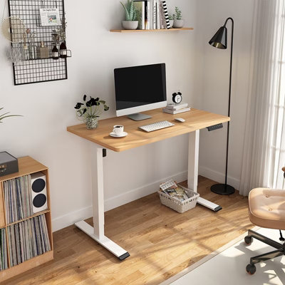 Flexispot Electric Height Adjustable Stand Desk, Memory Preset