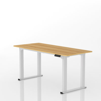 FlexiSpot Electrically Height-adjustable Desk 100kg Load Capacity in  White with 160x70cm Maple Desktop