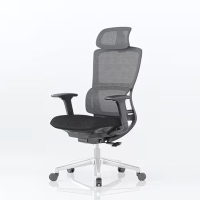 FlexiSpot Ergonomic Office Chair with Double Backrest Lumbar Support in Light Grey