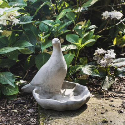 Floor level Birdbath with Perching Pigeon / Bird feeder | DIY at B&Q