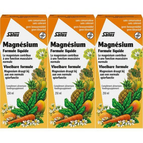 Floradix Magnesium Liquid Mineral Supplement 250ml (Pack of 3)