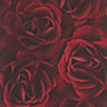 Floral Rose Wallpaper Deep Red Rasch 525625