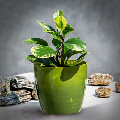 Flower Pots 6 Colours 4 sizes Marble Plastic Plant Pots Planter Deco Round Deco  Green 12cm - 5