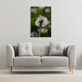 fluffy flower (Canvas Print) / 31 x 41 x 4cm