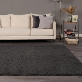 Fluffy Shaggy Rug Soft Rugs Bedroom Carpet Area Mat, Charcoal - 120 x 170cm