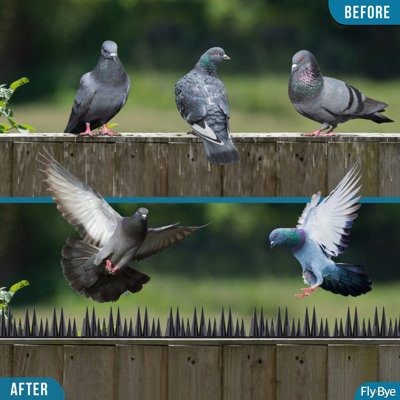 Fly-Bye Anti Bird Spikes - 12m Coverage with 5000 Spikes 2 Pack ...