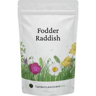 Fodder Radish Seeds 100g (Raphanus sativus) Fast-Growing Green Manure ...