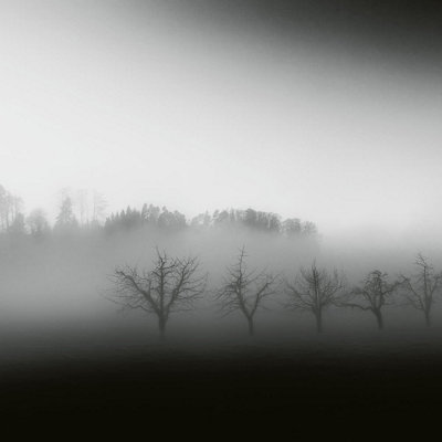 Foggy Landscape Mural - 384x260cm - 5097-8