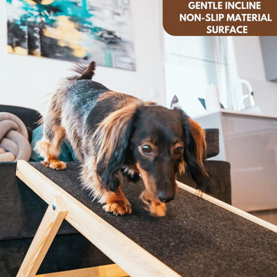 Indoor dog ramps for small dogs hotsell