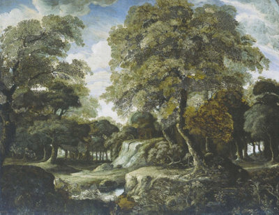 Forest wallpaper in green - 3,5 x 2,7 m