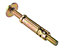ForgeFix 5LB1010 Masonry Anchor Bolt Loose ZYP M10 x 10mm Bag 5 FORLB1010G