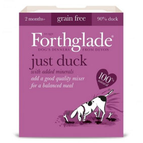 Forthglade Adult GF Just 90% Duck 395g (Pack of 18)