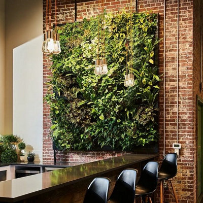 Frameless Living Wall System BB | DIY at B&Q
