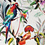 Fresco Amazon Tropical & Floral Multicolour Wallpaper