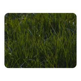 Fresh green grass background, natural grass (Blanket) / Default Title
