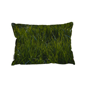 Fresh Green Grass Background, Natural Grass (Cushion) / 30cm x 45cm
