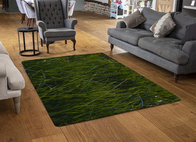 Fresh Green Grass Background, Natural Grass Designer Special Soft Home Rug