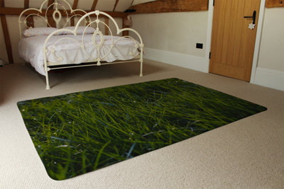 Fresh Green Grass Background, Natural Grass Designer Special Soft Home Rug