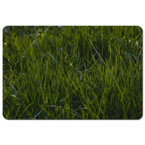 Fresh green grass background, natural grass (Placemat) / Default Title