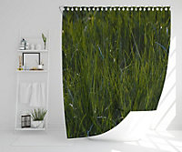 Fresh green grass background, natural grass (Shower Curtain) / Default Title