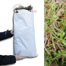 Fresh Sphagnum Moss - 5kg Bag - Natural Sphagnum Moss - High Quality