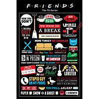 Friends Infographic Poster Multicoloured (61cm x 91.5cm)