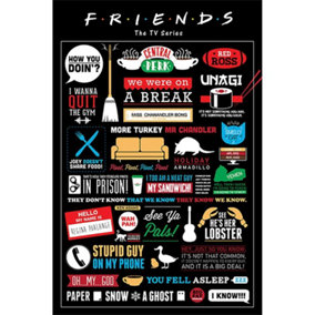Friends Infographic Poster Multicoloured (61cm x 91.5cm)