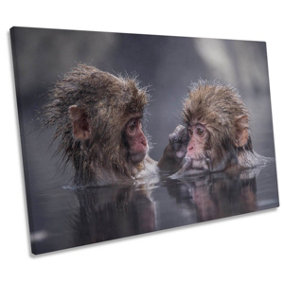 Friends Monkey Friendship Nature CANVAS WALL ART Print Picture (H)30cm x (W)46cm
