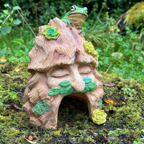 Frog Toad House wildlife shelter, face in tree stump design with frog decoration, novelty frog or wildlife lover gift