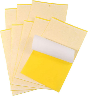Fruit Fly Traps Double Adhesive Sticky Pads Pack of 8 Multi-Use Glue ...