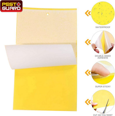 Fruit Fly Traps Double Adhesive Sticky Pads Pack of 8 Multi-Use Glue ...