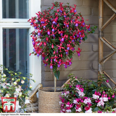 indoor pots for large plants Outdoor Planter From H Potter, Round Column Flower Garden Planter Indoor Outdoor main image 0