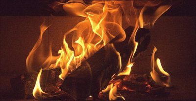 Fuel Expres High Energy Heat Logs (Pack of 12) - 5