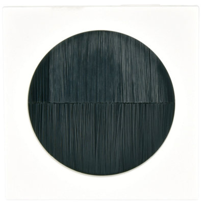 Full Brush Filled Aperture Wall Plate Module Face Plate