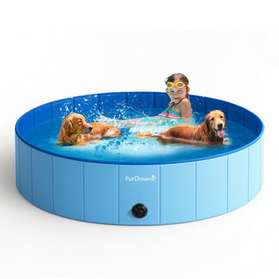 【極美品】Niveum ‎– Dream Pool 洋楽 DREAM POOL /NIVEUM Vaporwave Dream Pool | Niveum