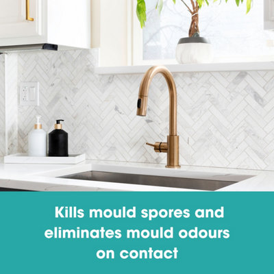 Simply Mould & Mildew Remover Spray Cleaner For Fabric, Canvas, Leather Furniture, Sofas, Car Seats & Interior Applicator Included (250ml 5 thumbnail image