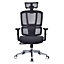 Furniture Express Executive Office Chair, Ergonomic Office Chair, Lumbar Support, Home Office Chair, Desk Chair Black