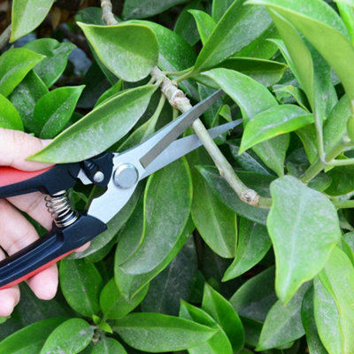 Furniture One 3PC Garden Pruning Set Professional Hand Pruners Bypass ...