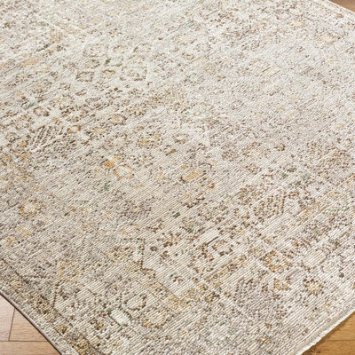 GABRY Galey Alix x Livabliss Vintage Traditional Oriental Boho Brown/Taupe Area Rug 200 x 275 cm