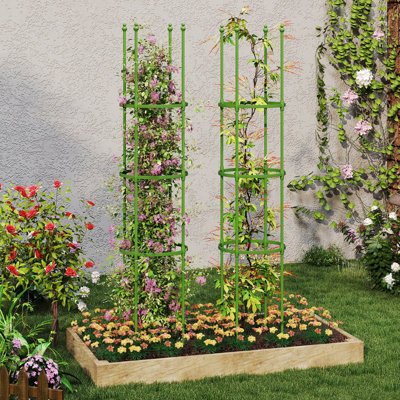 GAINOOM 2-Pack Green 145 cm Tall Garden Plant Support Tomato Cage ...