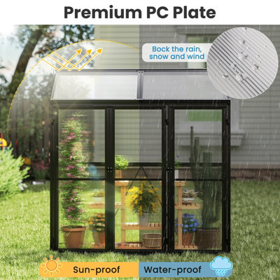 GAINOOM Greenhouse Outdoors Walk-in Greenhouse 180 CM x 52 CM Transparent