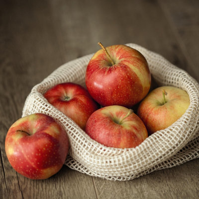 Gala Apple Tree - RHS Award-Winning Sweet Thin-Skinned Self-Fertile ...