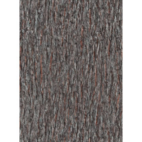 Galerie Amazonia Brown Bark Smooth Wallpaper