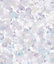 Galerie Atmosphere Purple Bubble Up Smooth Wallpaper